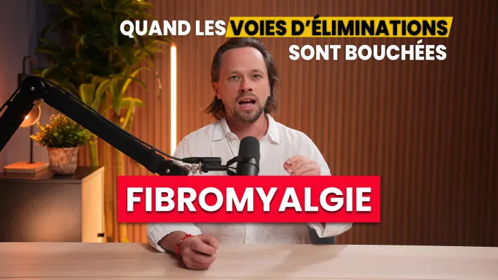 Fibromyalgie : Quand Les Voies D’Elimination Du Corps Sont Bouchees